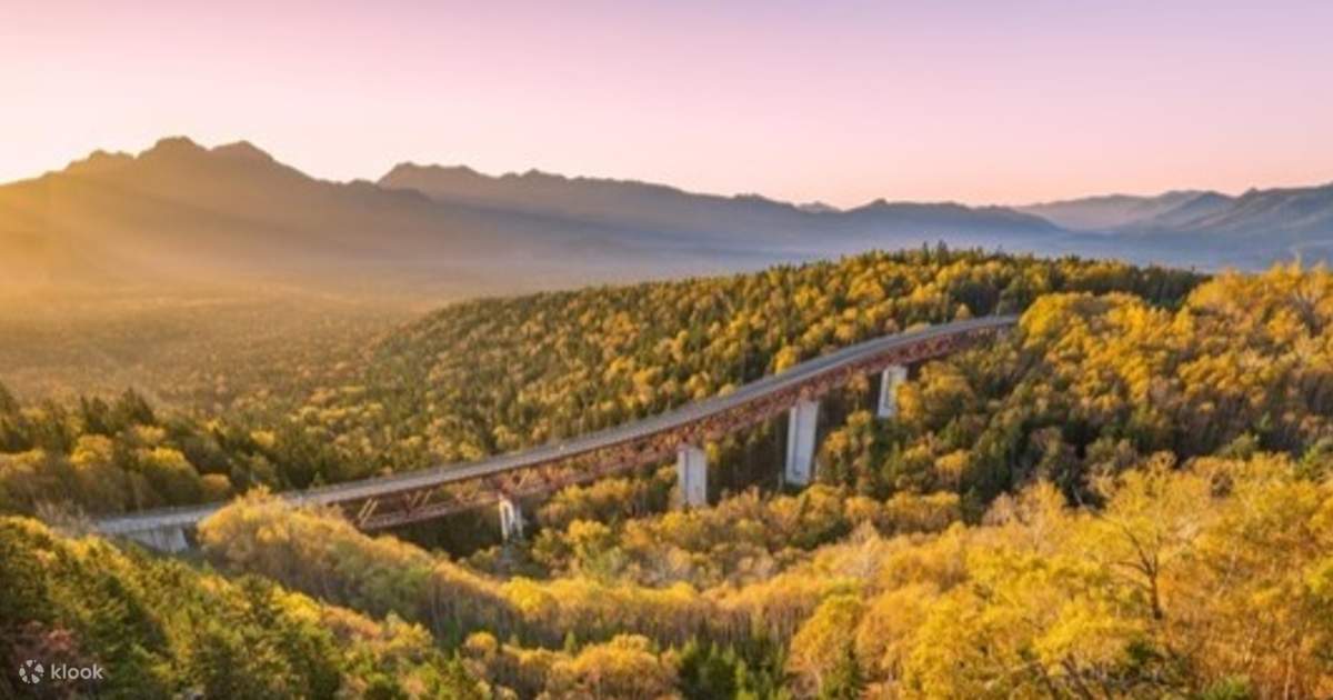 Autumn Only] Hokkaido 2-Day Tour｜10 Beautiful Scenic Spots
